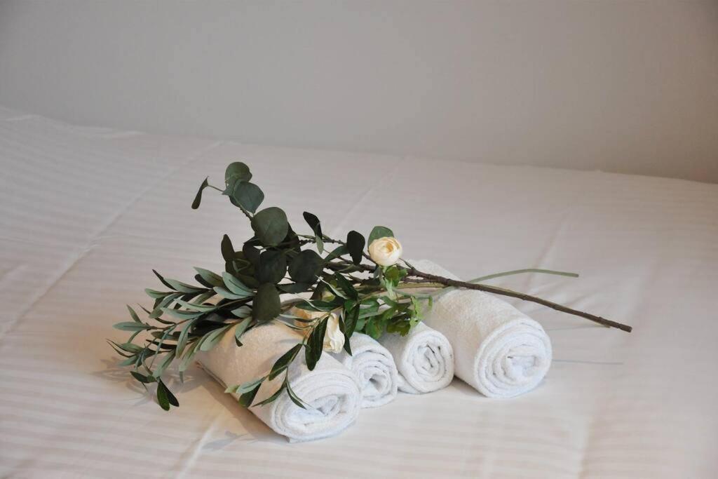 布雷斯特Freskenn 1, Studio 23M² Cosy & Chaleureux公寓 外观 照片
